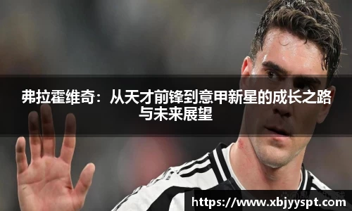 弗拉霍维奇:从天才前锋到意甲新星的成长之路与未来展望
